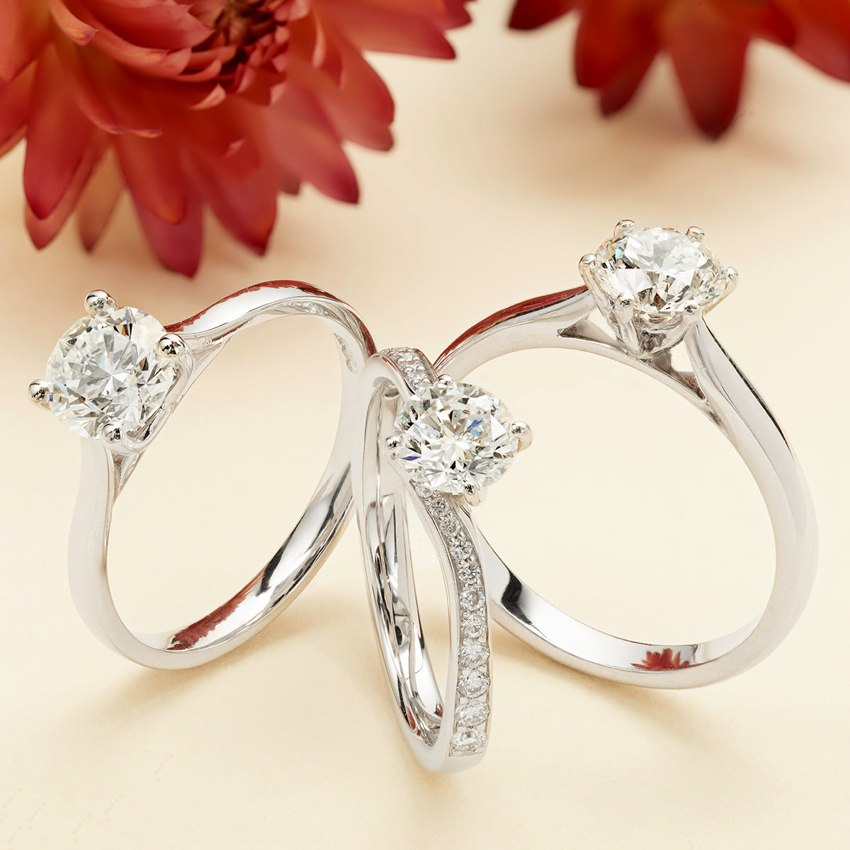 7 Cheap Engagement Rings Affordable Engagement Rings Eternity 7 Cheap Engagement Rings Affordable Engagement Rings Eternity