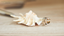 Ethical Engagement Rings