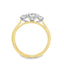 Round Brilliant Cut 0.50ct Diamond Trilogy Engagement Ring