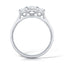 Princess Cut 0.71ct Diamond Trilogy Engagement Ring