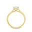 Round Brilliant Cut 0.70ct Diamond Solitaire Engagement Ring