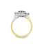 Oval Cut Sapphire with Round Brilliant Cut Diamond Cluster