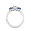 Round Brilliant Cut Diamond with Brilliant Round Cut Sapphire Side Stones Trilogy Ring