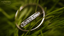 Full Eternity Rings 