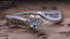 White Gold Engagement Rings