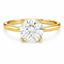 Lab Grown Round Brilliant Cut 2.03ct Diamond Solitaire Engagement Ring With Hidden Halo
