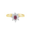Oval Cut Ruby & Round Brilliant Cut Diamond Cluster Engagement Ring