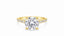Lab Grown Round Brilliant Cut 3.00ct Diamond Solitaire Engagement Ring With Diamond Shoulders & Hidden Halo