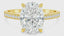 Lab Grown Oval Cut 3.50ct Diamond Engagement Ring with Diamond Shoulders & Hidden Halo
