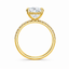 Lab Grown Oval Cut 3.54ct Diamond Solitaire Engagement Ring With Diamond Shoulders