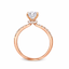 Round Brilliant Cut 0.80ct Diamond Engagement Ring with Diamond Shoulders & Hidden Halo