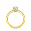 Round Brilliant Cut 0.75ct Diamond Engagement Ring with Diamond Shoulders