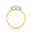 Round Brilliant Cut 0.50ct Diamond Trilogy Engagement Ring