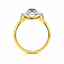 Round Brilliant Cut Sapphire with Round Brilliant Cut Diamond Cluster
