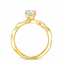 Round Brilliant Cut 0.70ct Diamond Engagement Ring with Diamond Shoulders