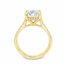 Lab Grown Round Brilliant Cut 3.00ct Diamond Solitaire Engagement Ring With Diamond Shoulders & Hidden Halo