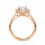 Lab Grown Round Brilliant Cut 1.01 Diamond With Diamond Halo