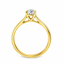 Round Brilliant Cut 0.70ct Diamond Engagement Ring with Diamond Shoulders
