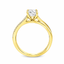 Round Brilliant Cut 0.70ct Diamond Engagement Ring with Diamond Shoulders