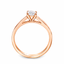 Round Brilliant Cut 0.50ct Diamond Engagement Ring with Diamond Shoulders