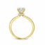 Round Brilliant Cut 0.80ct Diamond Engagement Ring with Diamond Shoulders & Hidden Halo