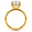 Lab Grown Oval Cut 2.17ct Diamond Solitaire Engagement Ring With Hidden Halo