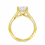 Lab Grown Oval Cut 3.04ct Diamond Engagement Ring with Diamond Shoulders & Hidden Halo