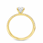 Round Brilliant Cut 0.70ct Diamond Engagement Ring with Diamond Shoulders