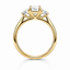 Emerald Cut 1.01ct Diamond Engagement Ring with Trilliant Cut Diamond Side Stones