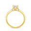 Round Brilliant Cut 0.70ct Diamond Engagement Ring with Diamond Shoulders