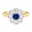 Round Brilliant Cut Sapphire with Round Brilliant Cut Diamond Cluster