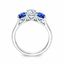 Round Brilliant Cut Diamond with Brilliant Round Cut Sapphire Side Stones Trilogy Ring