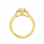 Round Brilliant Cut 1.00ct Diamond Halo Engagement Ring