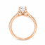 Round Brilliant Cut 0.70ct Diamond Engagement Ring with Diamond Shoulders